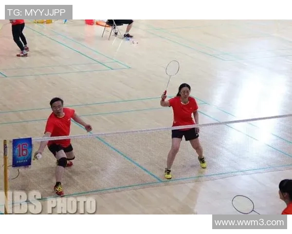 赛后分析:上海羽毛球队与北京羽毛球队速度对比及战术探讨