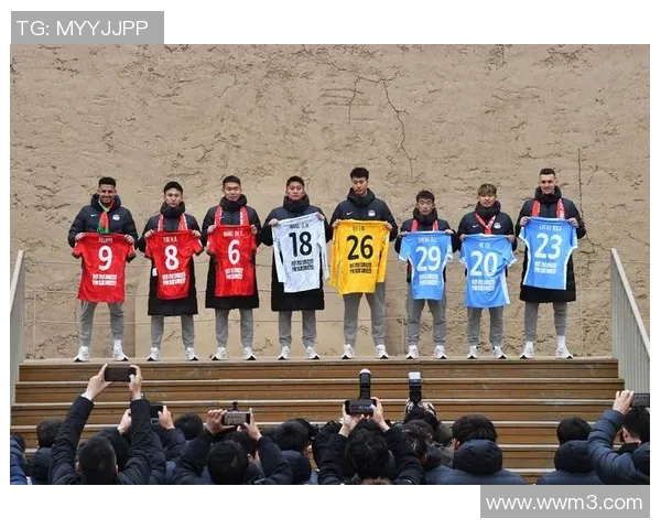 中国足球明星的奋斗历程与辉煌成就背后的感人故事