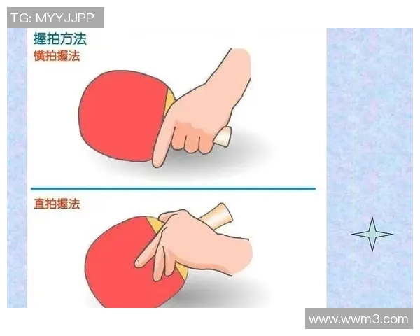 从零起步掌握乒乓球战术技巧全解析助你成为乒乓高手